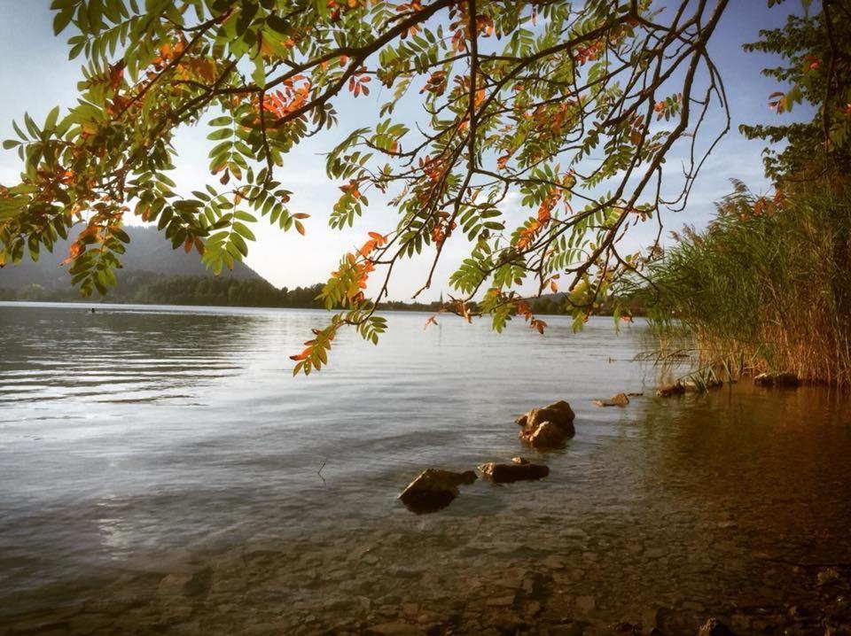 Apartmenthaus Der Johanneshof - Tolle Lage Nah Am See Schliersee Exteriér fotografie